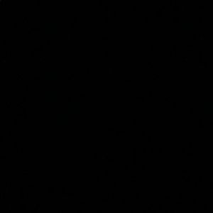 Meet your Posher, Donny